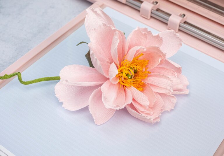 Design sans titre (24)